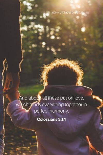 Colossians 3_14