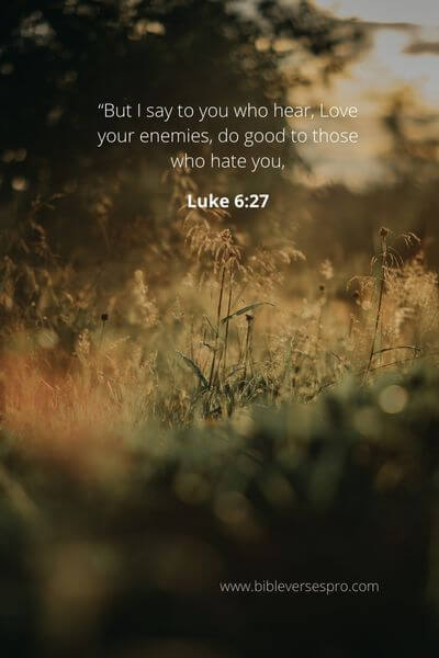 Luke 6_27 - Love your enemies