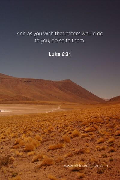 Luke 6_31 - More Than Kind Sentiments
