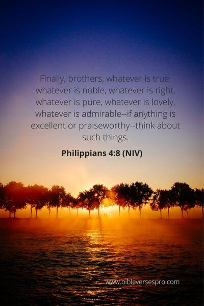 Philippians 4_8 - Christ Has Provided Everything We Require For Life