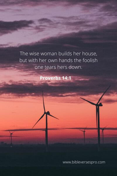 Proverbs 14_1 - The Wisdom of God