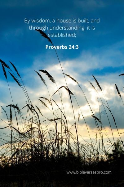 Proverbs 24_3 - God's wisdom transcends beyond the physical