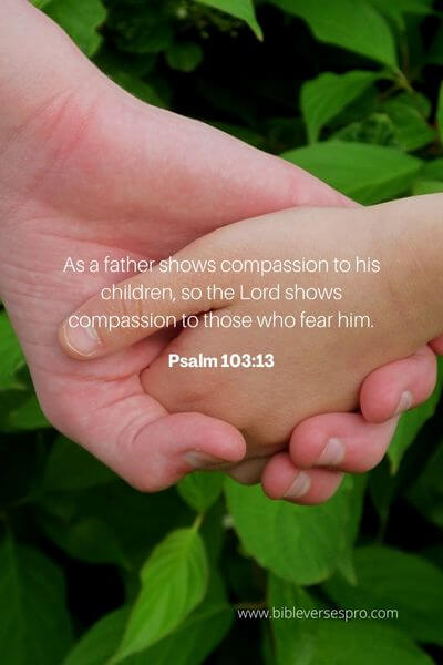 Psalm 103_13