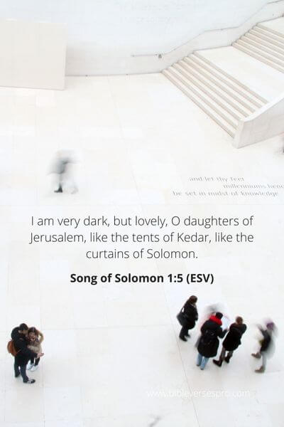 Song Of Solomon 1_5_ God Doesn'T See These Flaws
