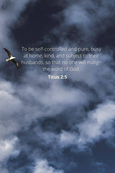 Titus 2_5 - For love and order in our homes