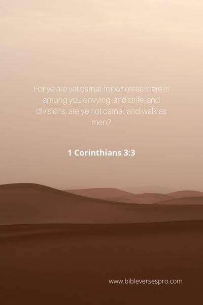 1 Corinthians 3_3 - A Man Who'S In The Spirit Understands