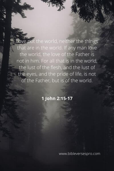 1 John 2_15-17