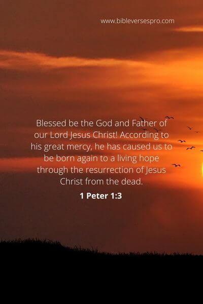 1 Peter 1_3 - Because Jesus Is Alive, So Is Our Hope