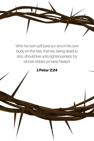 23 Encouraging Bible Verses For Healing And Strength 1 Peter 2_24