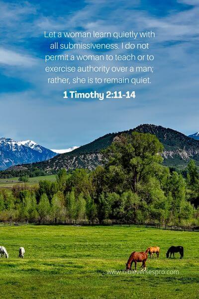 1 Timothy 2_11-14 