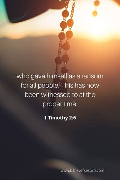1 Timothy 2_6
