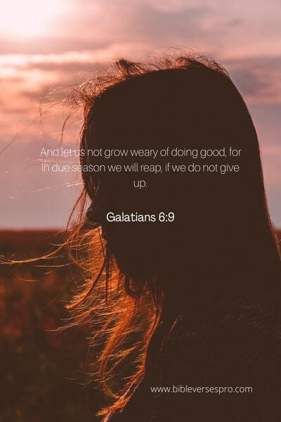 Galatians 6_9 - Courage and perseverance