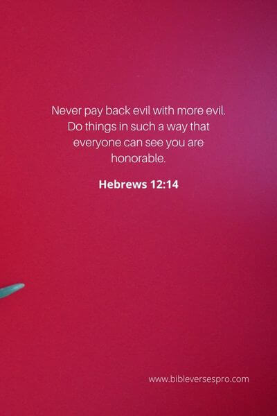 Hebrews 12_14 - We Are Of God