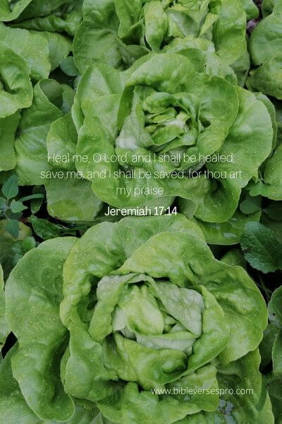 Jeremiah 17_14 