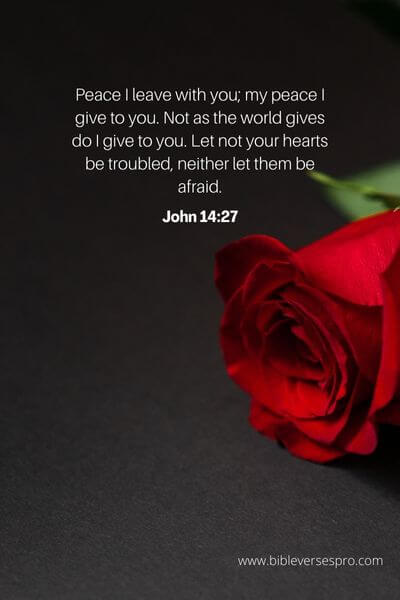 John 14_27