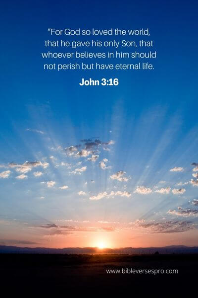 John 3_16