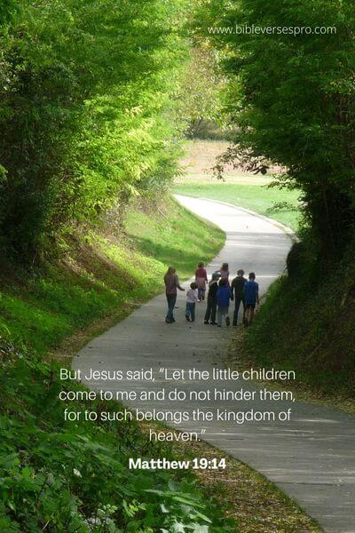Matthew 19_14