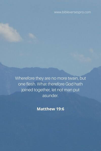 Matthew 19_6 - God described the natural state of things before sin entered the world