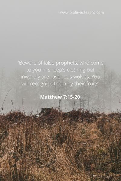 Matthew 7_15-20 - Beware Of Cunning People
