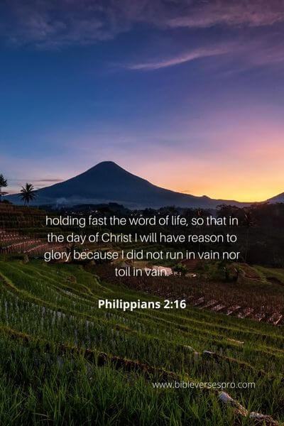 Philippians 2_16 - What Is Your Life'S Purpose