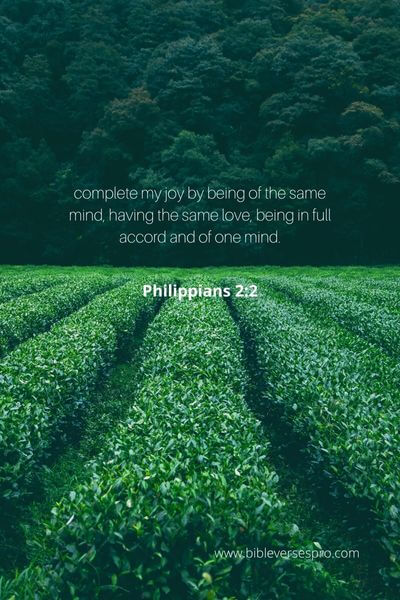 Philippians 2_2 - Sharing Your Joy Is The Best Way To Be Of The Same Mind