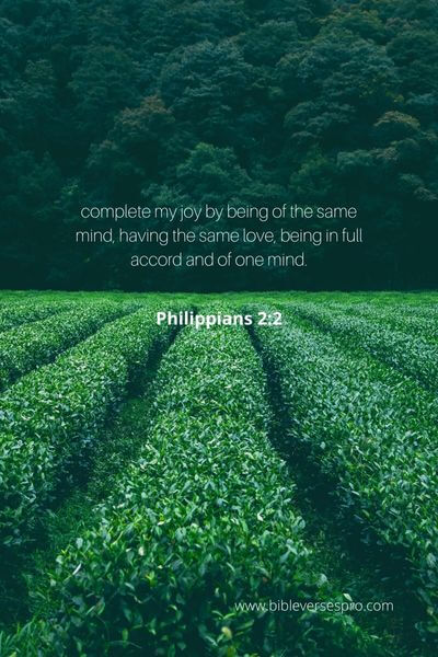 Philippians 2_2 - Sharing Your Joy Is The Best Way To Be Of The Same Mind