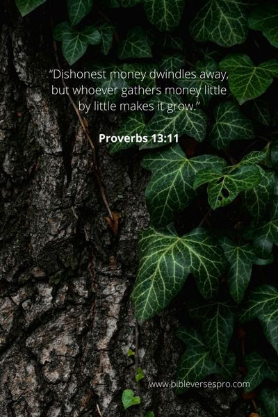 Proverbs 13_11 - A good investment will bloom