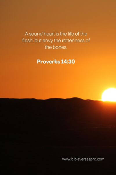 Proverbs 14_30 - He Promised Us Peace
