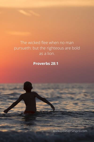 Proverbs 28_1 - Take Courage And Stand Firm In Your Beliefs