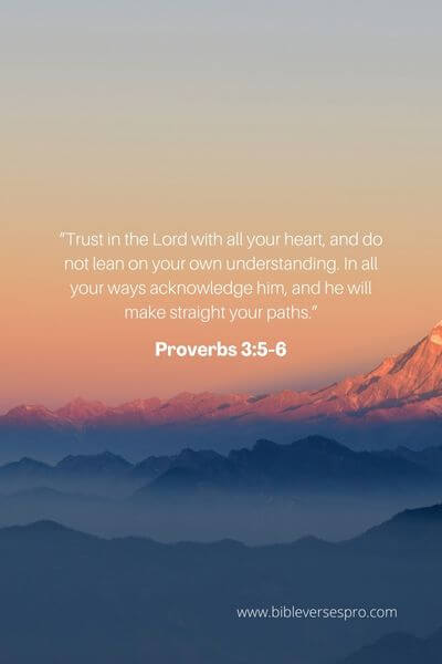 Proverbs 3_5-6 - We Should Put Our Whole Trust And Confidence In Him