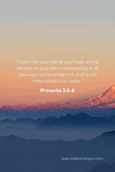 Proverbs 3_5-6 - We should put our whole trust and confidence in Him