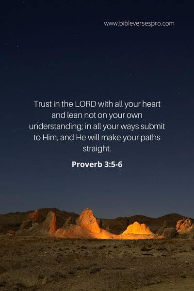 Proverbs 3_5-6