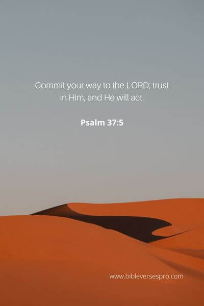 Psalm 37_5 - His Track Record In Your Life And In The Bible Is One Of Faithfulness