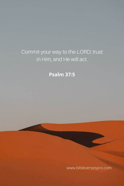 Psalm 37_5 - His track record in your life and in the Bible is one of faithfulness