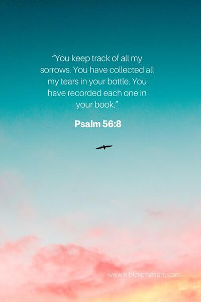 Psalm 56_8 - Our tears will be wiped away