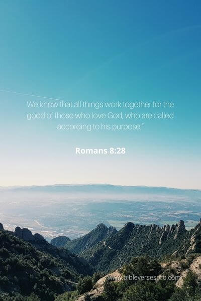 Romans 8_28 - Loving God Will End In Our Favor