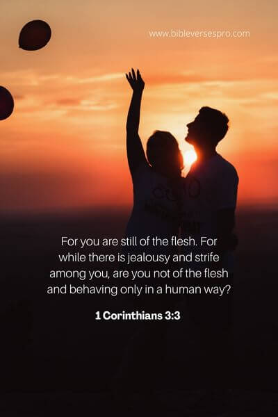 1 Corinthians 3_3 