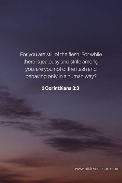 1 Corinthians 3_3