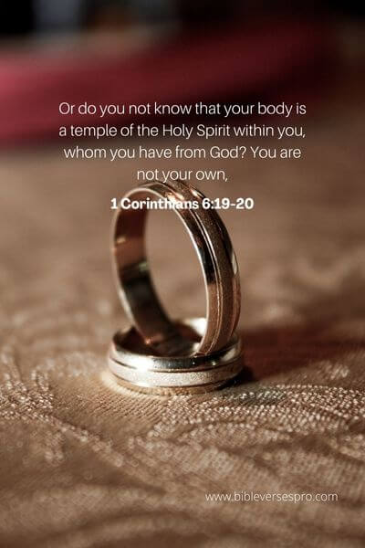 1 Corinthians 6_19-20