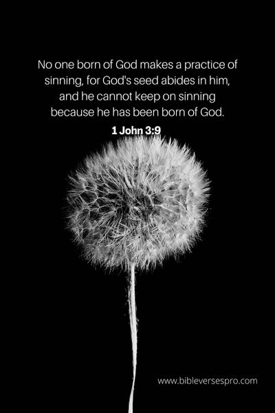 1 John 3_9 