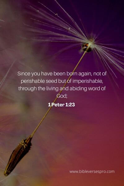 1 Peter 1_23 