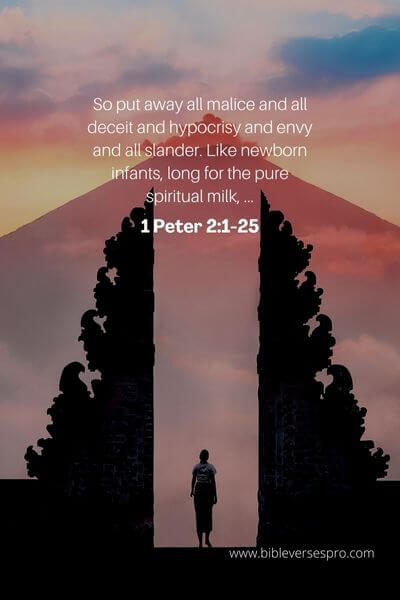 1 Peter 2_1-25