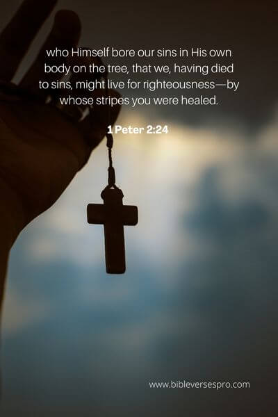1 Peter 2:24 - He was humiliated so that we might be complete.