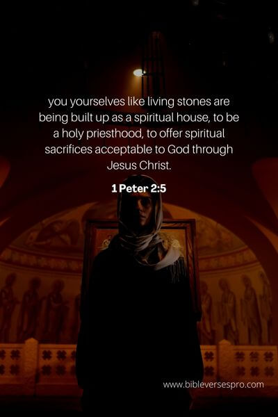 1 Peter 2_5