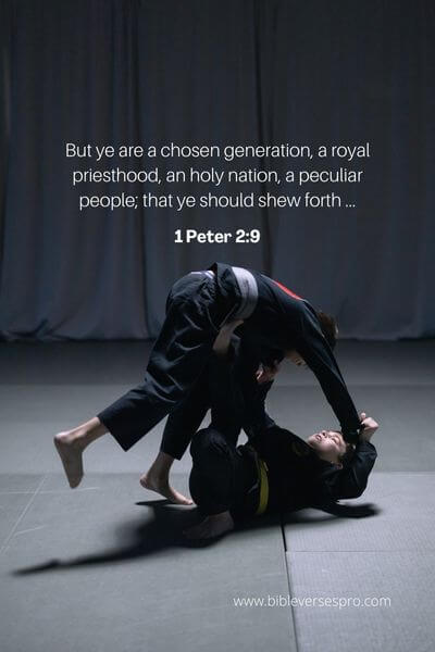 1 Peter 2_9