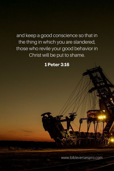 1 Peter 3_16