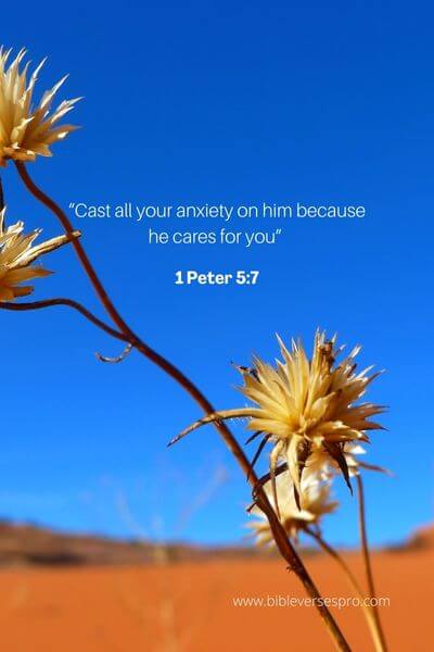 1 Peter 5_7