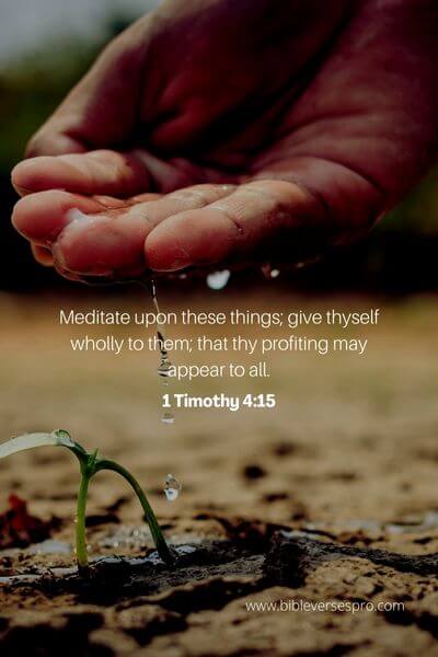 1 Timothy 4_15