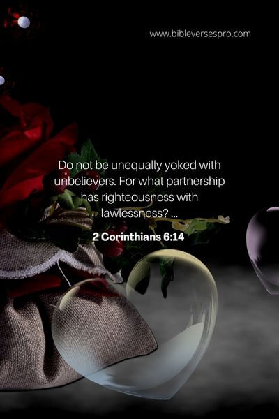 2 Corinthians 6_14 