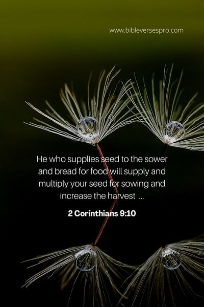 2 Corinthians 9_10